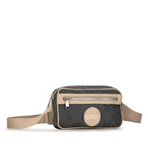 Gucci-GG-Nylon-Off-The-Grid-Belt-Bag_219691_right_angle_0_parent.jpg