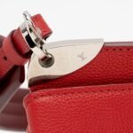 Louis Vuitton Calfskin Astrid Top Handle