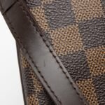 Louis Vuitton Damier Ebene Musette Salsa Shoulder Bag