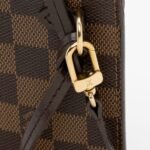 Louis Vuitton Damier Ebene Neverfull GM Pochette