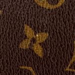 Louis Vuitton Monogram Canvas Clemence Wallet