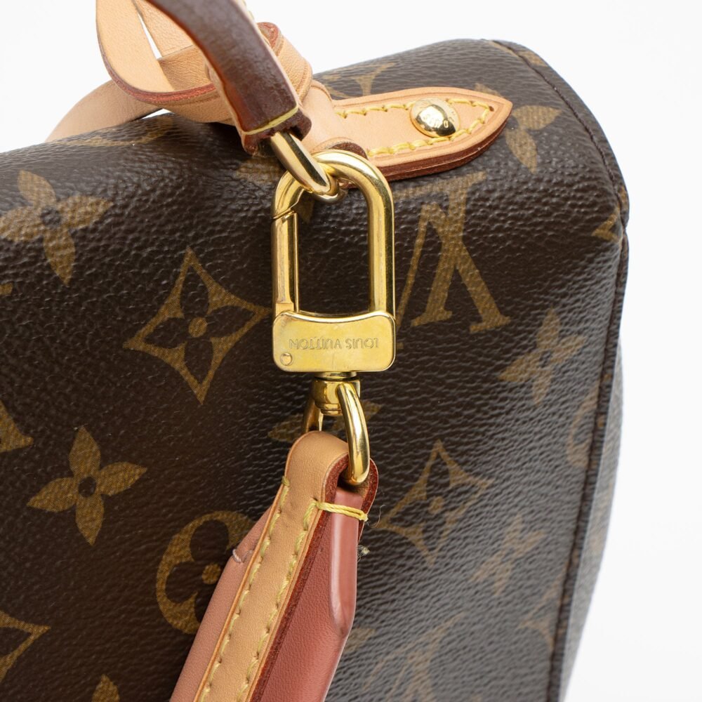 Louis Vuitton Monogram Canvas Cluny BB Satchel