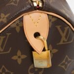 Louis Vuitton Monogram Canvas V Speedy 30 Satchel