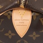 Louis Vuitton Monogram Canvas V Speedy 30 Satchel