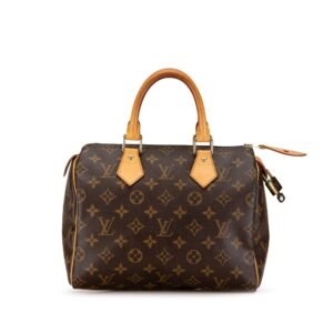 Louis Vuitton Monogram Speedy 25