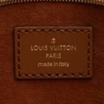 Louis Vuitton Raffia Pochette